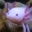 자연아 놀자 이미지