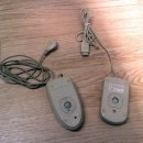 에이스 캣 이미지