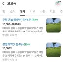 러블리독 애견카페 | 청주 안성 진천 고고독 강아지 운동장 대관 애견카페 내돈내산 후기