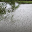 남생이못 습지생태 관찰원 이미지