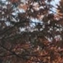 여의도치과의원 이미지