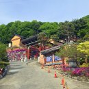 금강사 - 관악구 봉천로 218 | 금강사