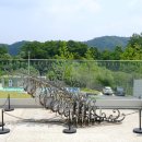 인쇄광고디자인 청춘