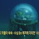 세계농장 이미지