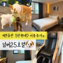 넘버25호텔청초호점 | 속초 가성비 숙소 넘버25호텔 속초점, 평일 5만원대 애견동반 가능한 청초호 숙소