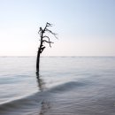 보성바다스토리리조트 이미지