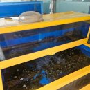 동강쏘가리 | [경기 포천] 진한 맛이 일품인 메기매운탕 맛집 동강매운탕_내돈내산