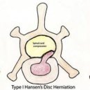 솔펫 동물병원 이미지
