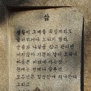 나무테크 이미지