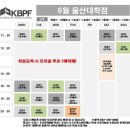 대한폴댄스연맹학원 이미지