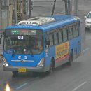 성모후문약국 이미지