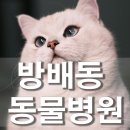 킹콩애드 네이버블로그