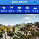 바람아래솔 이미지