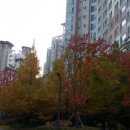 강한부동산공인중개사사무소 이미지