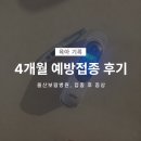 세븐일레븐 울산보람병원점 | 4개월 접종 후기. 울산 보람병원, 발열, 보챔, 변지림