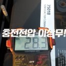 합천추레라 이미지