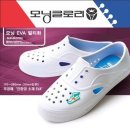 모닝글로리 이미지