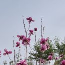 호반풍경채부동산공인중개사사무소 이미지