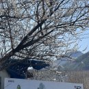 백자산오리가든 이미지