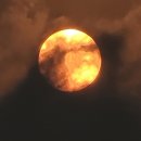 해넘이농장 이미지