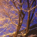 우장산근린공원 이미지