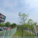 의성펫월드 오토캠핑장 | 의성 펫월드 오토캠핑장. 쉼터 이용 자격 및 유의할 점 알아보기