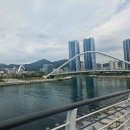 [부산 러닝] 2026 부산항만공사 Fun Run 북항 프롬나드 러닝 참가 후기