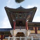 경주농협 주유소 | 가을 아이와 같이 가볼만한 경주 여행지 불국사