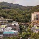 아이엠포레스트
