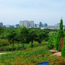 한밭수목원 이미지