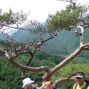 한국의 100대 명산인 도락산(964m) 등산 후기(2018.06.05)| 이미지