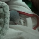 삼천포부동산중개사무소 이미지