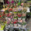 천호대로 213길 | 상일동 행운꽃플라워 / 싱싱하고 예쁜 꽃 구입 후기