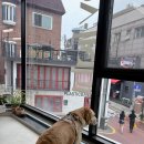 조이라이트이태원 이미지