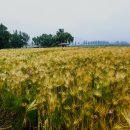 아름다운쉼터 이미지