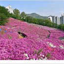철쭉공원 이미지