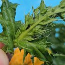 기문농장 이미지