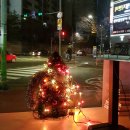 씨채널분평점 이미지