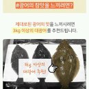 국민생선 "광어" (스압) 이미지