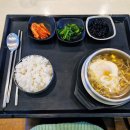 고성공룡나라(대전) 이미지