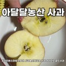 아달달농산 | 프리미엄 가정용사과 1kg 아달달농산