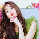 춘 심 (春心) ...。 이미지