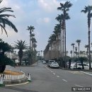 소노벨 타워 A.B 제주 이미지