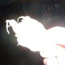 두리안모텔 이미지