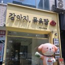 목욕하는 강아지 | [오늘의일상 / 단비 목욕하는날 / 신중동 강아지목욕탕]