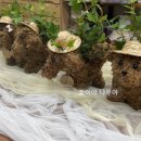 평동초교병설유치원 이미지