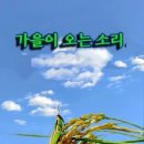 355일 베드로전서 1-5장 고난 속에 있는 교회에 권면 p.146 23.828현재 시련 - 왕 같은 제사장 - 노아 부부 자세 - 불 이미지