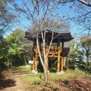 초록산 산림욕장 1 이미지