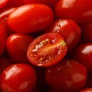 은수농장 2 이미지