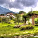 하미양 펜션 이미지